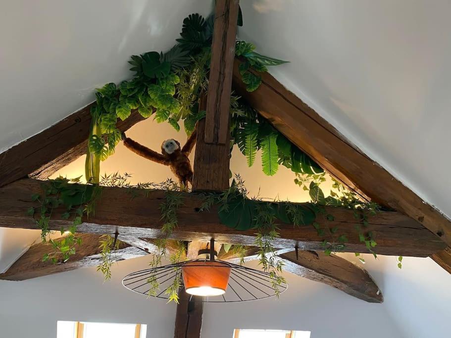 Ferienwohnung Sous Les Tropiques D'Ablis Exterior foto