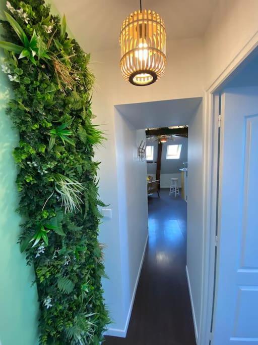 Ferienwohnung Sous Les Tropiques D'Ablis Exterior foto